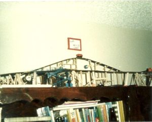 The Wild One - Miniature Roller Coaster